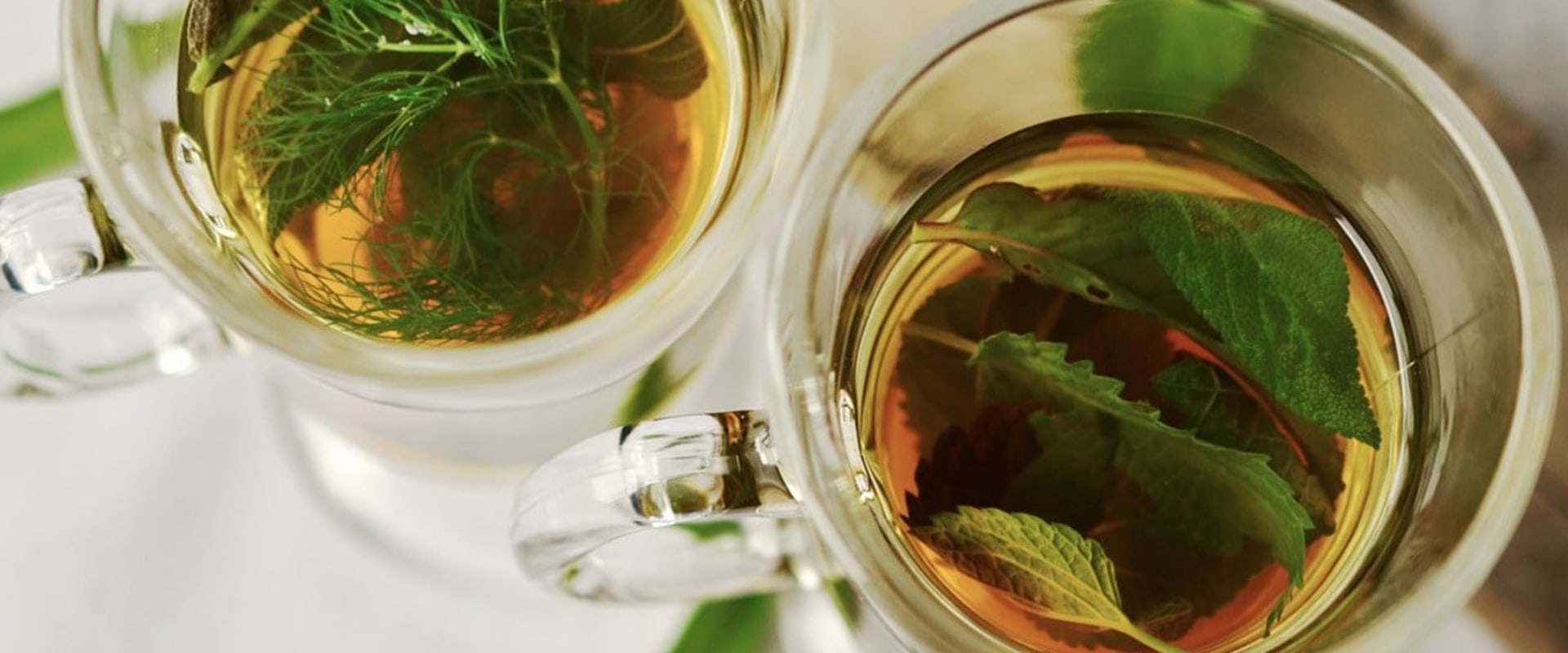 The Dangers of Nettle Tea: Who Should Avoid It?