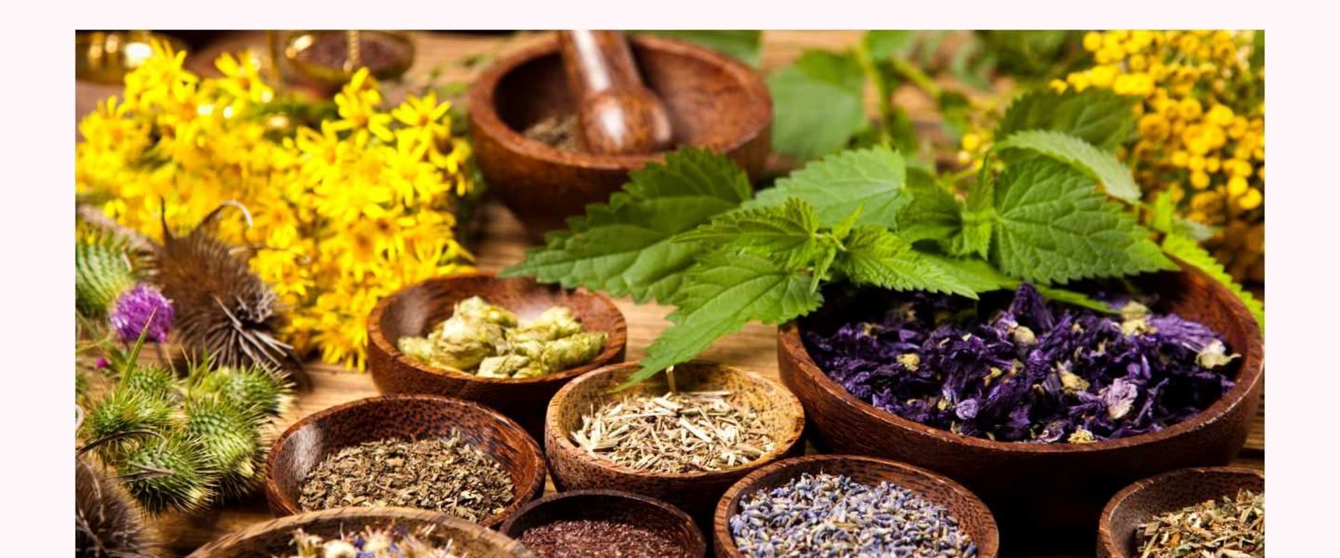 The Power of Nettle: A Comprehensive Guide to Detoxifying Your Body